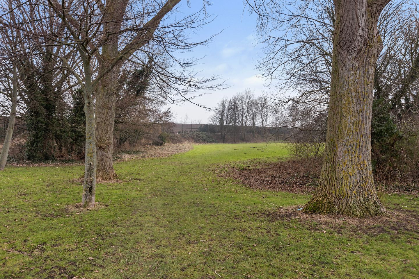 Foto 64 van Kastanjedal 36