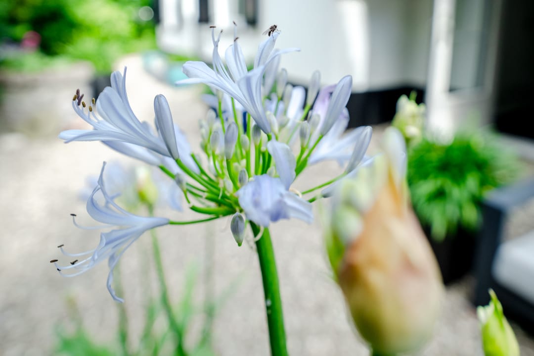 Photo 38 of Rondeweg 30