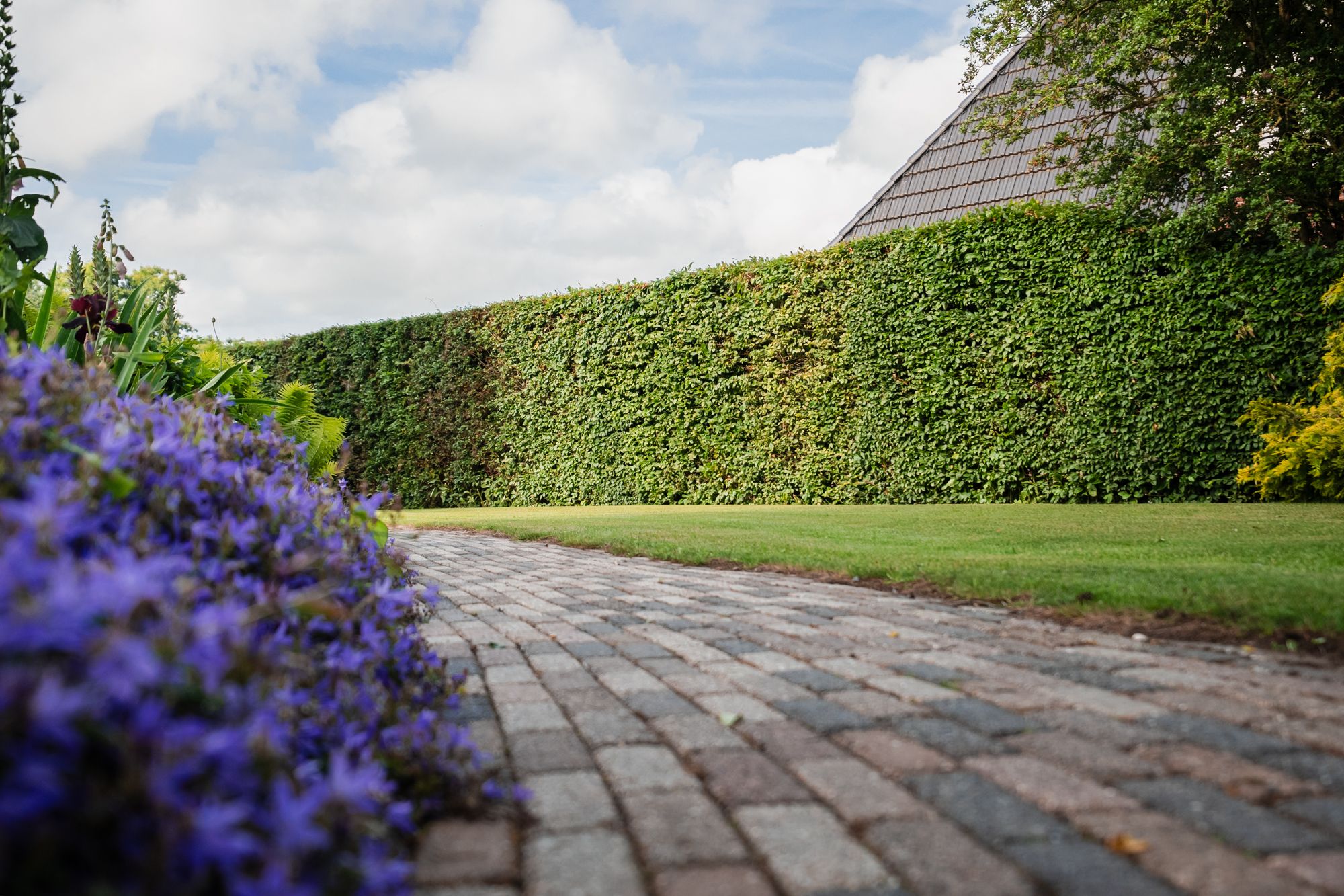 Photo 39 of Rondeweg 30