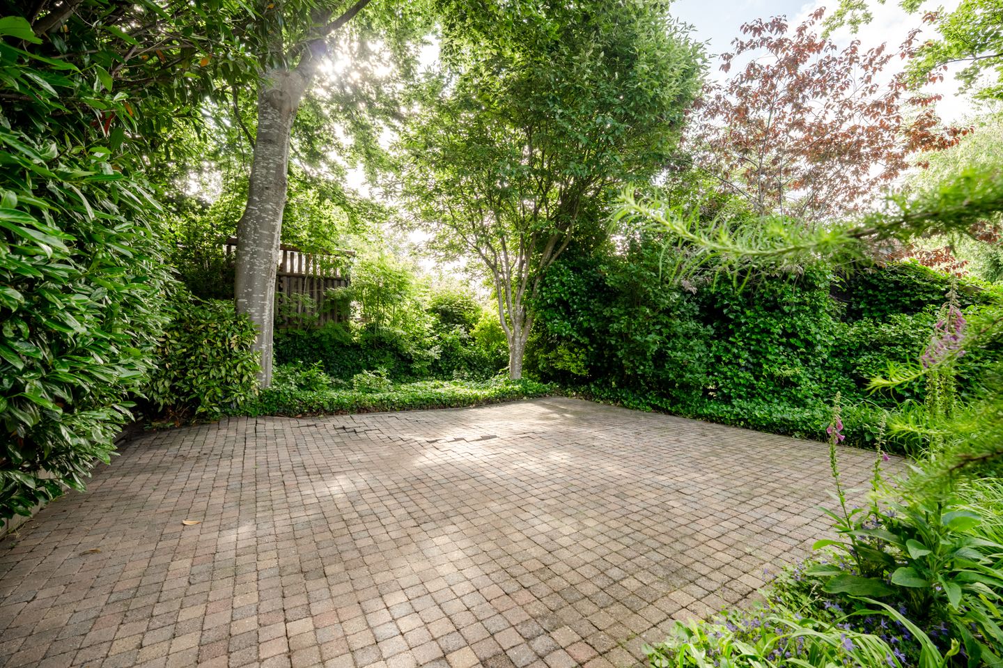 Photo 50 of Rondeweg 30