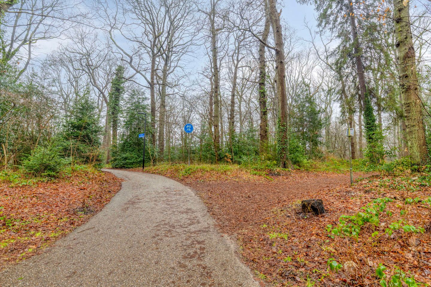 Foto 65 van Houtlaan 68