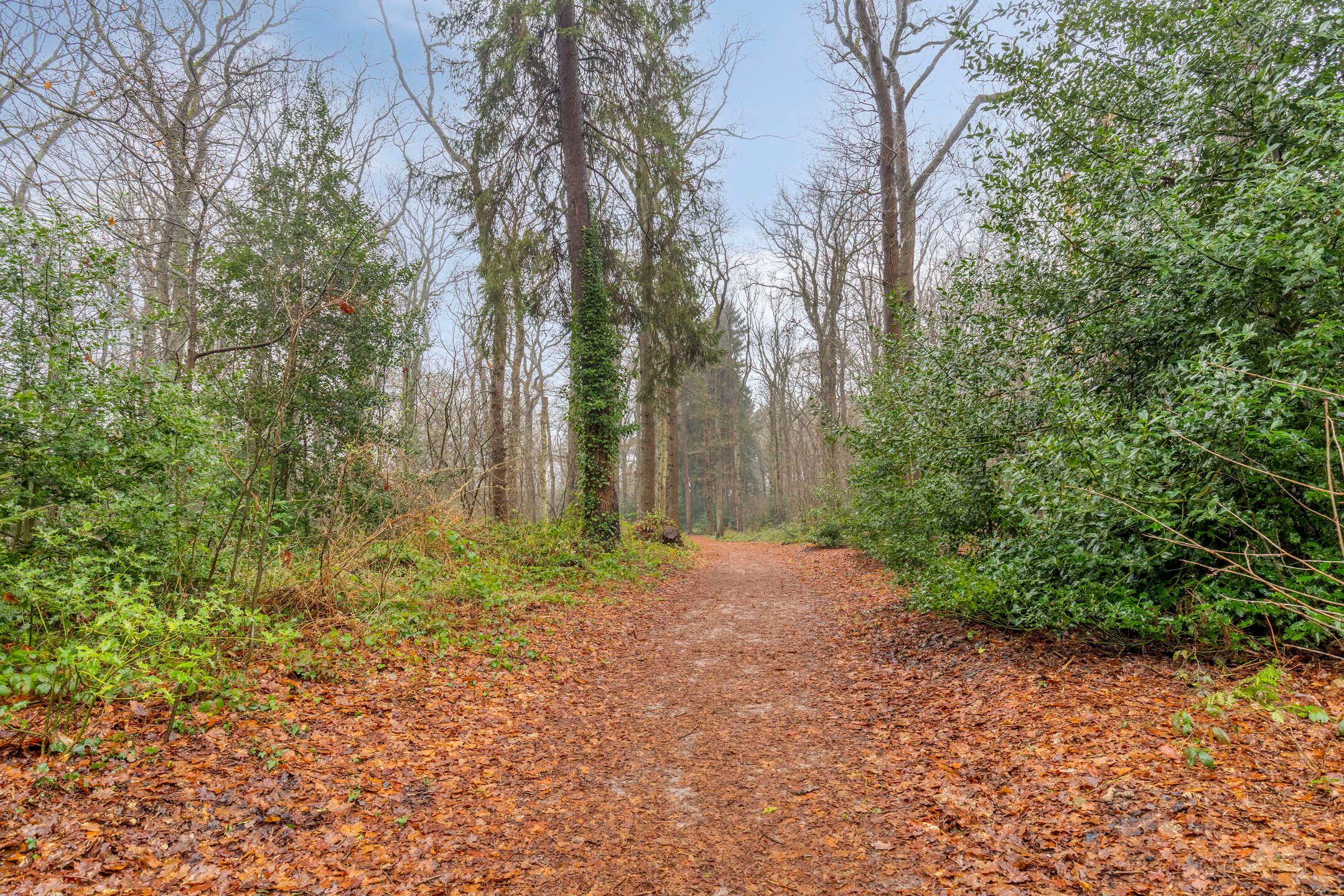 Foto 66 van Houtlaan 68