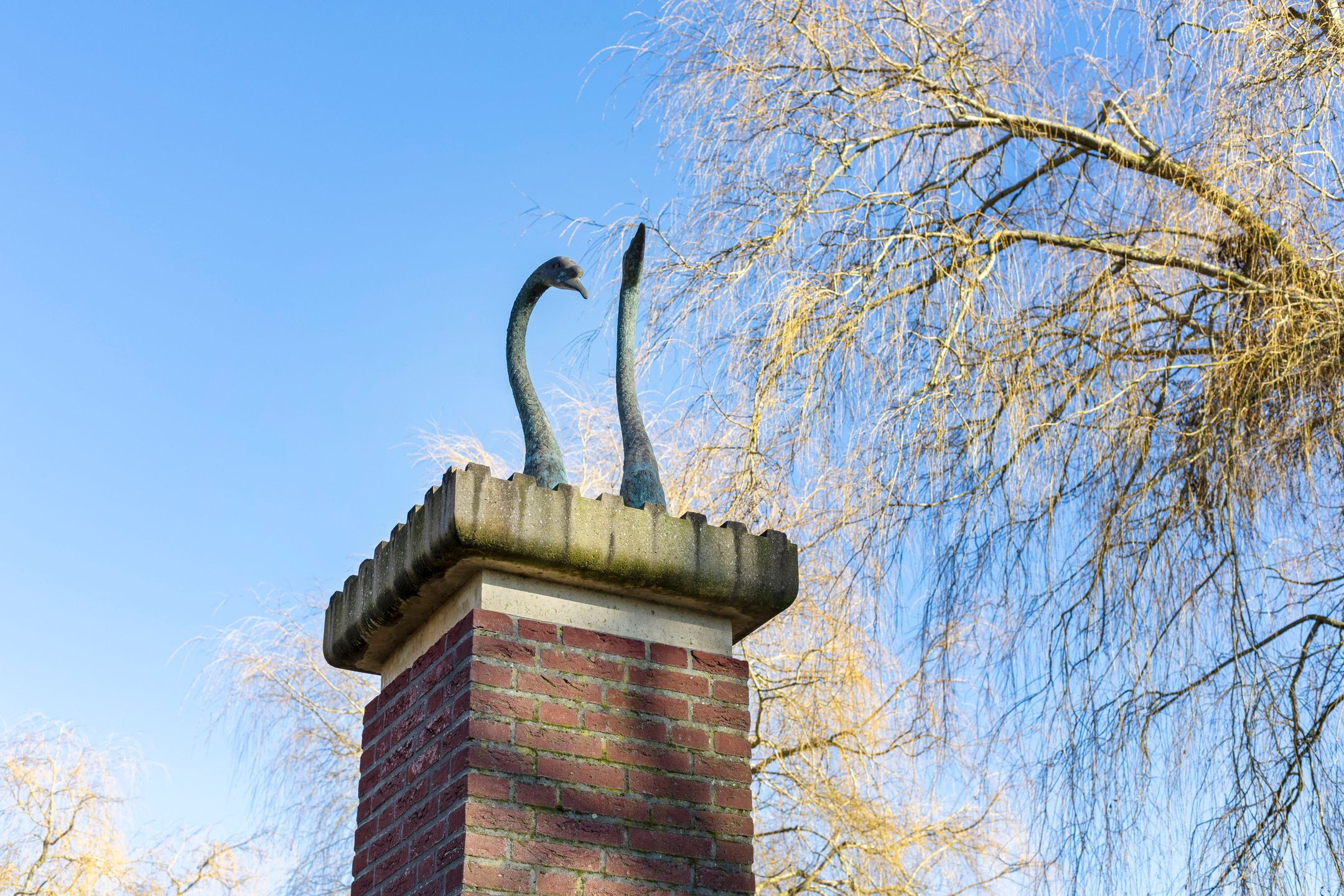 Foto 6 van Zwaenenstede 40