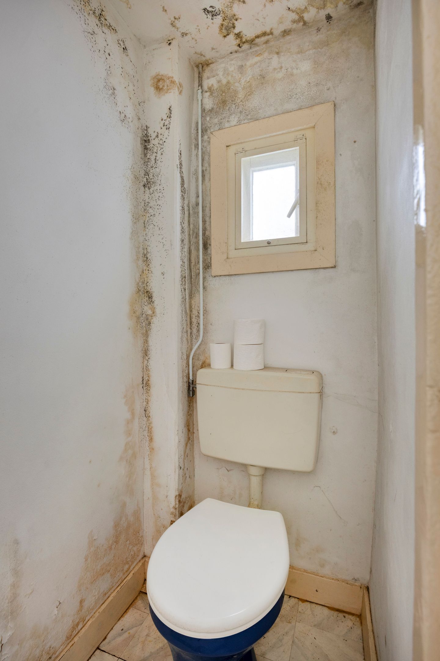 Foto 9 van Westeinde 127-A