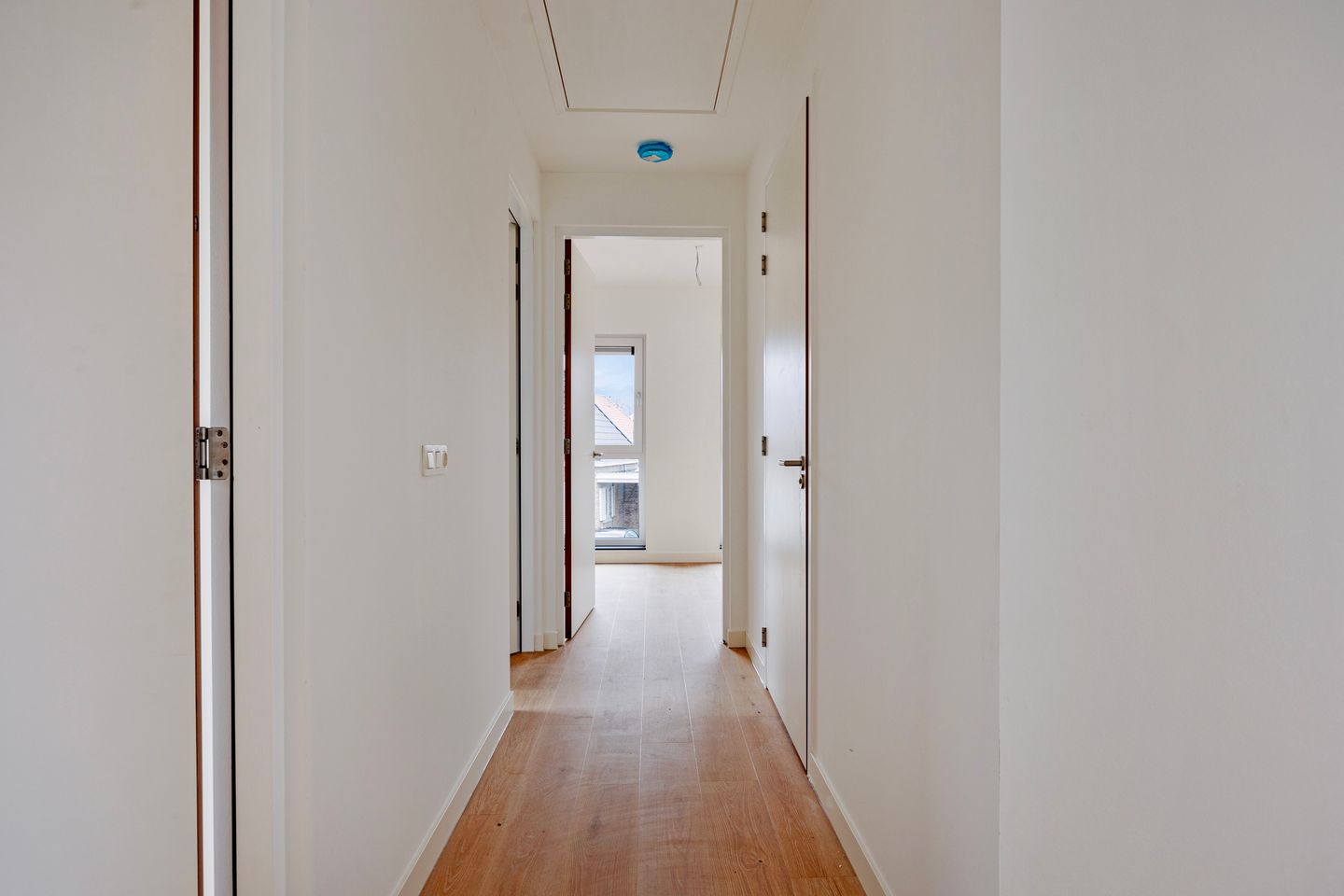 Foto 10 van Spinnekopmolen 17