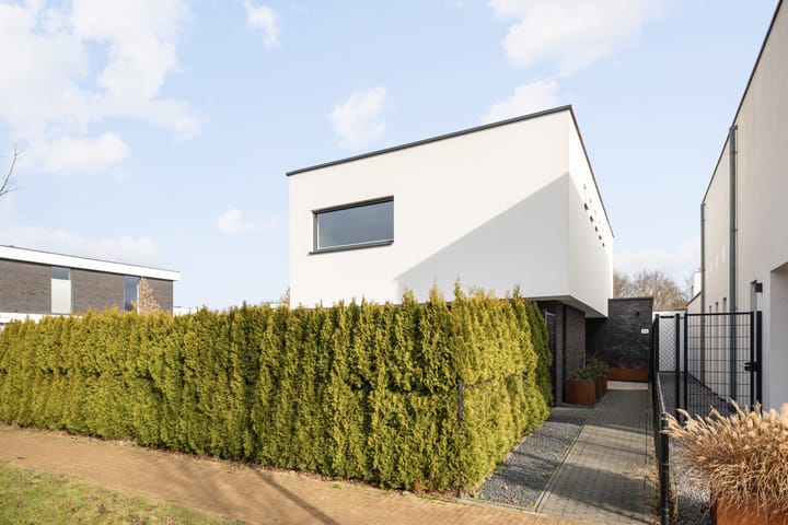 Foto 4 van Waterwijk 101