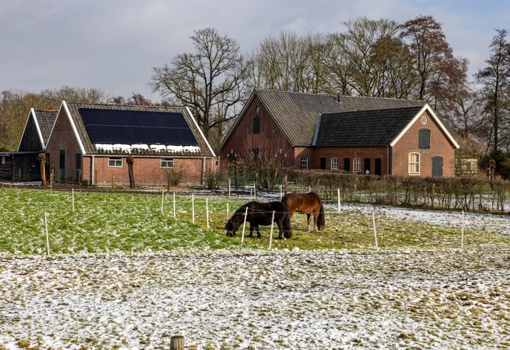 Foto 4 van Schooldijk 13