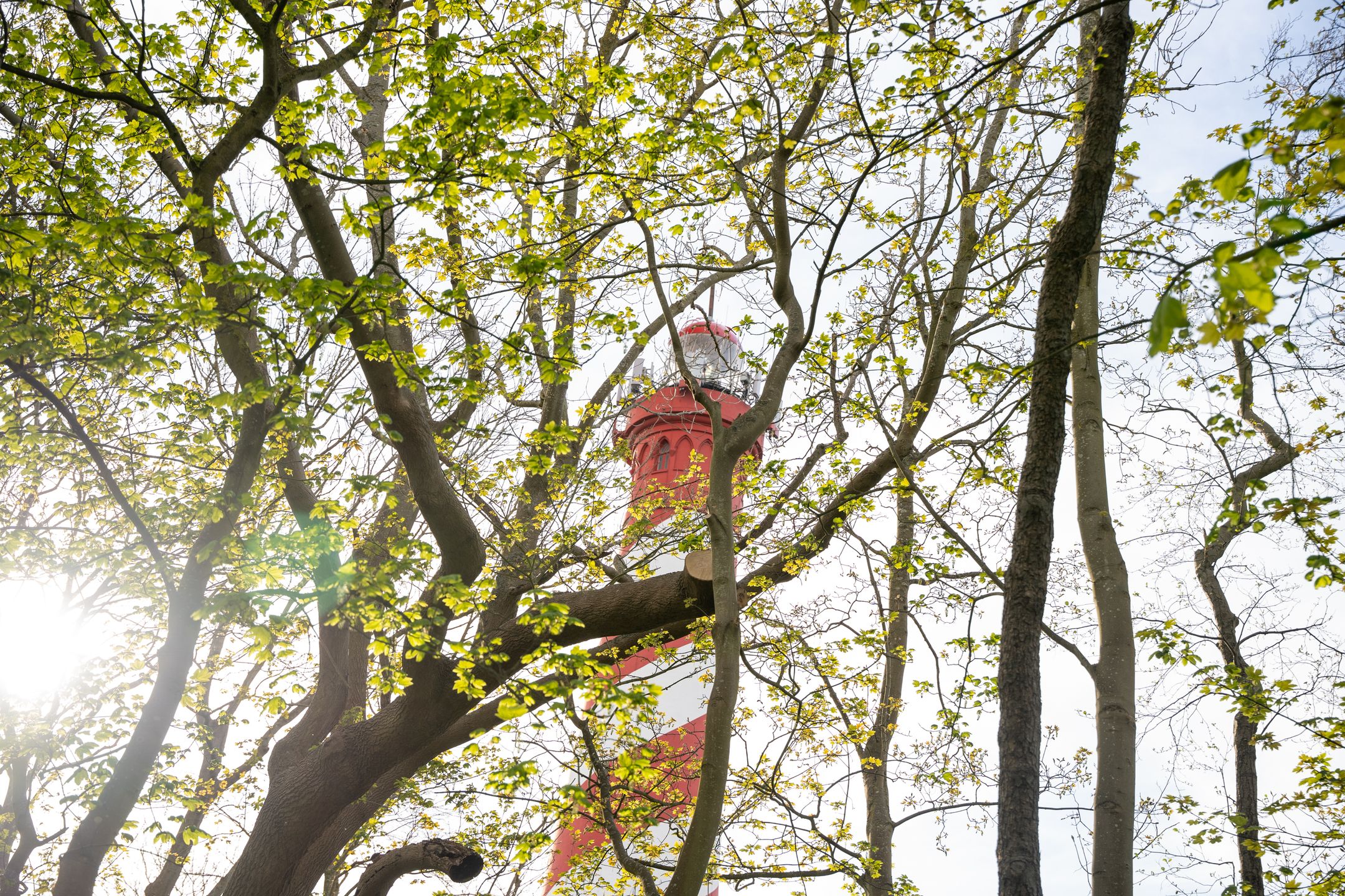 Photo 66 of Burghseweg 74