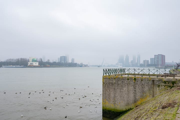 Foto 5 van Sint-Janshaven 545