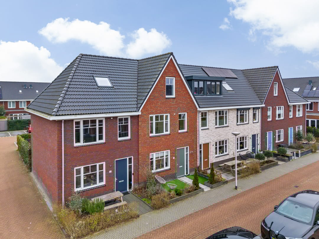 Foto 1 van Scholekster 10