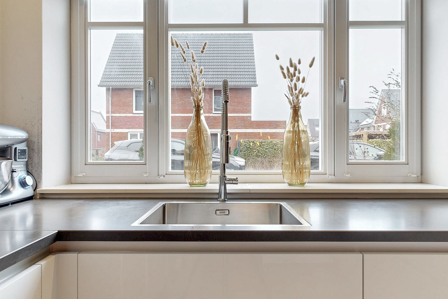 Foto 10 van Scholekster 10