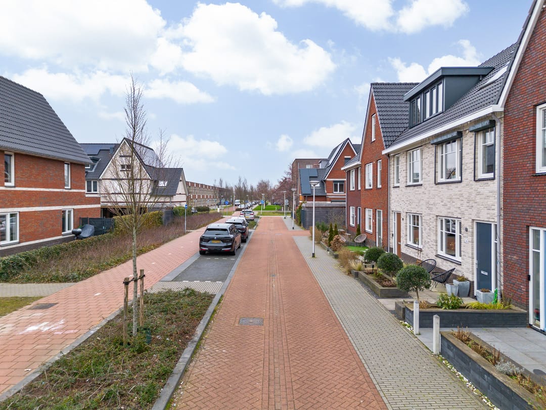 Foto 32 van Scholekster 10