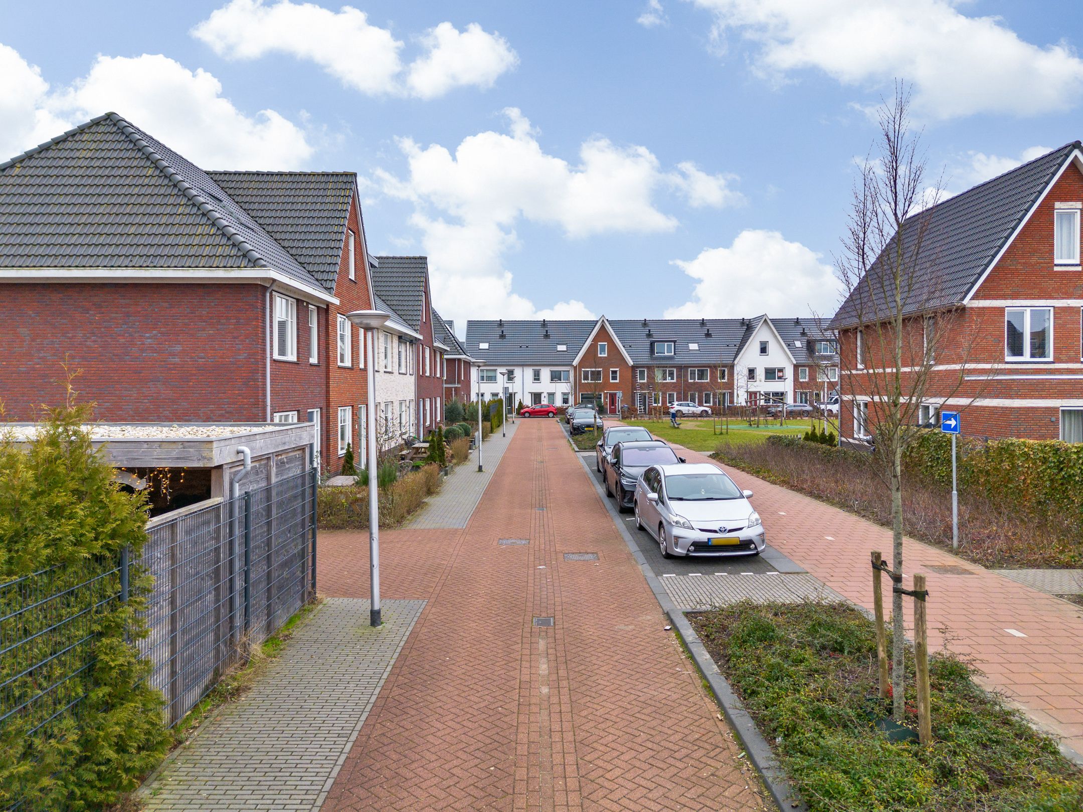 Foto 33 van Scholekster 10