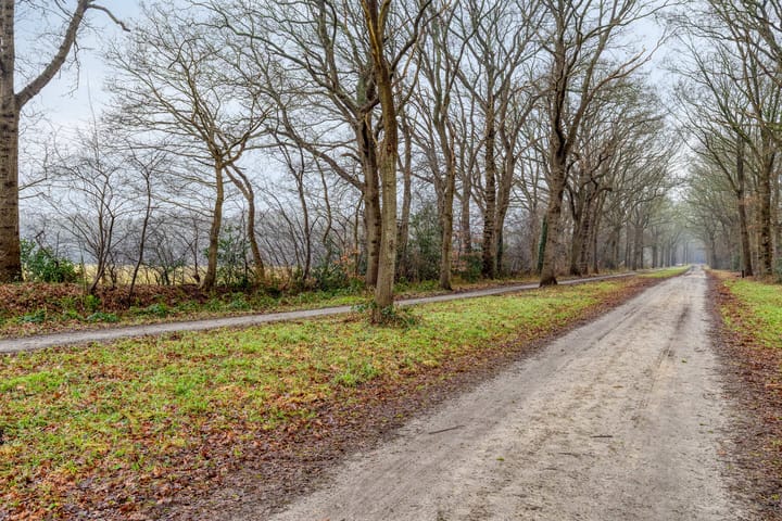 Photo 45 of Goorsprake 2