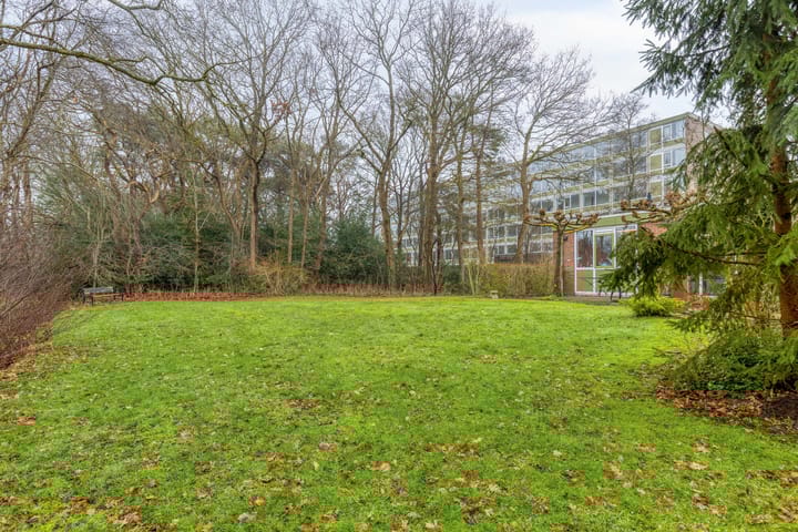 Photo 31 of Goorsprake 2