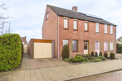 undefined main image