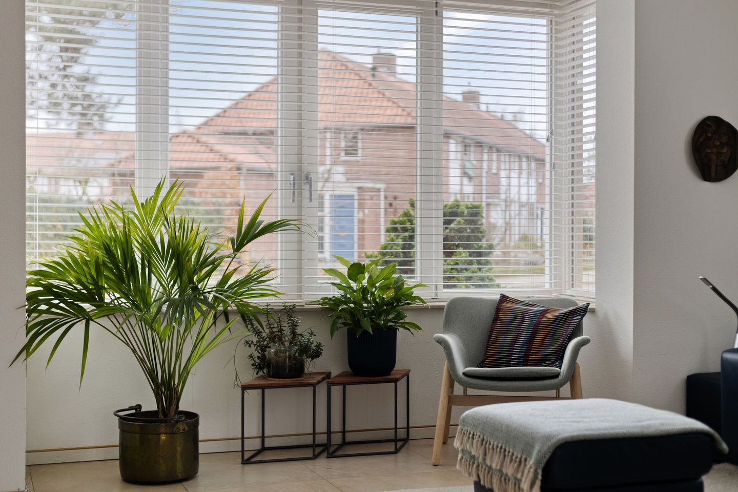 Photo 10 of Professor Schreinemakersstraat 29