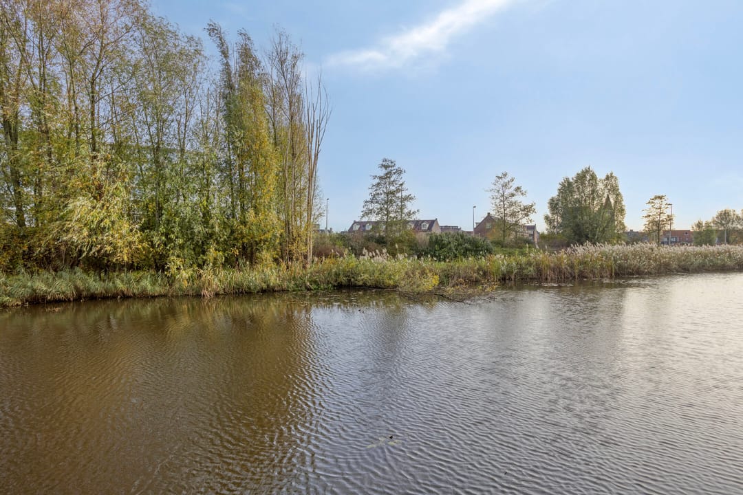 Foto 11 van Trinidadstraat 15