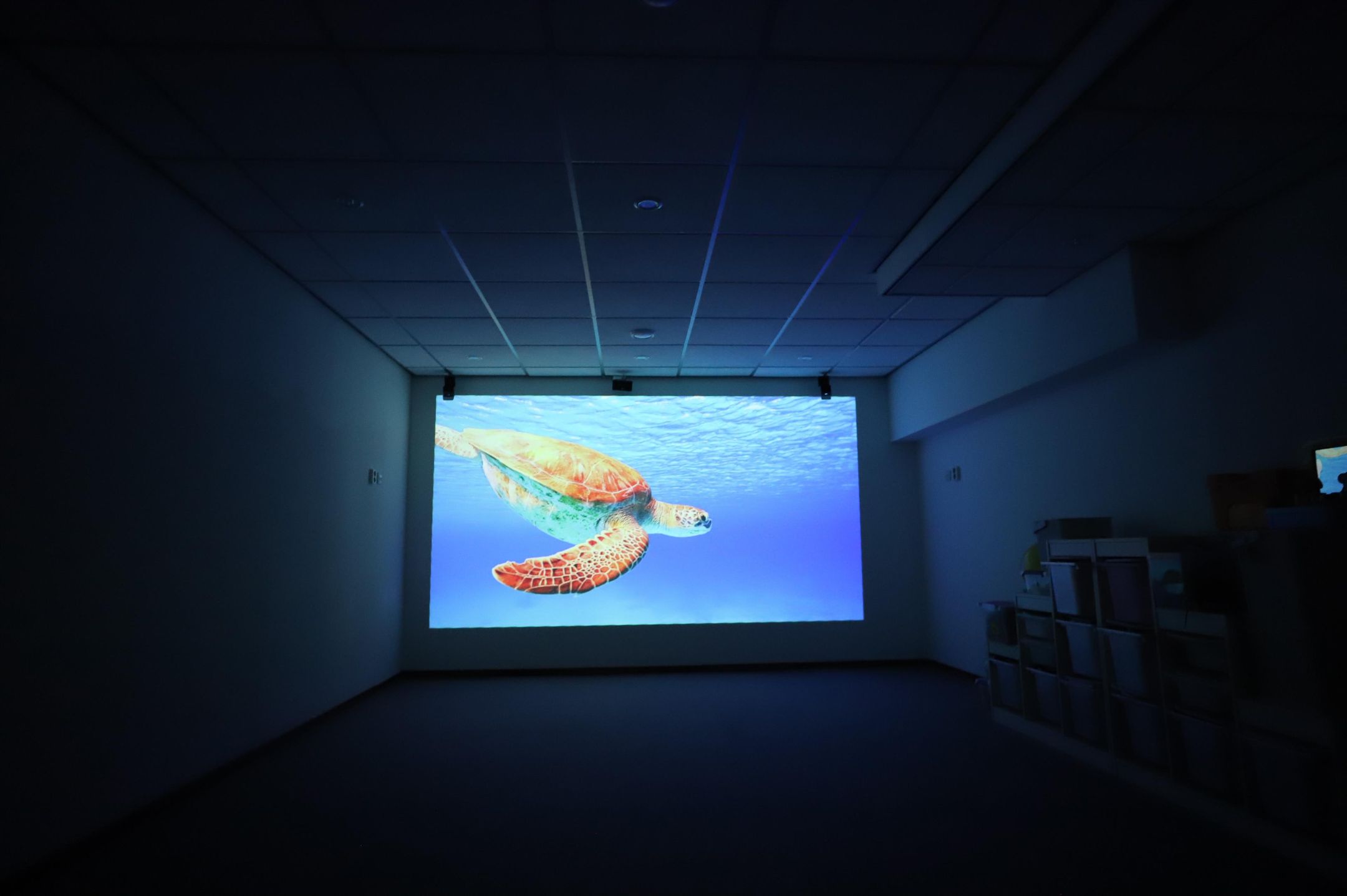 Foto 30 van Trinidadstraat 15