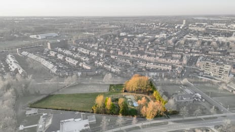 undefined main image