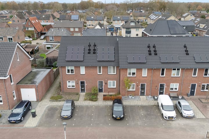 Foto 2 van de Pauwe 4-C