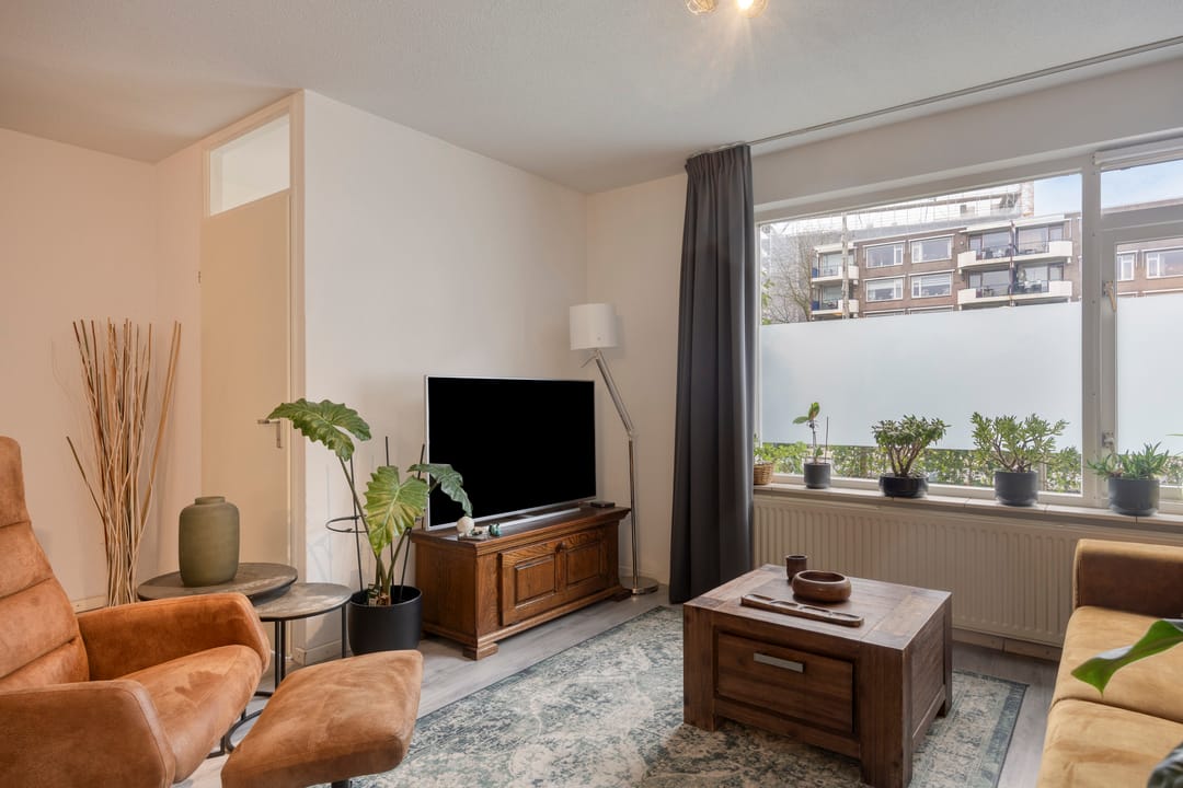 Foto 11 van Hollandia 12