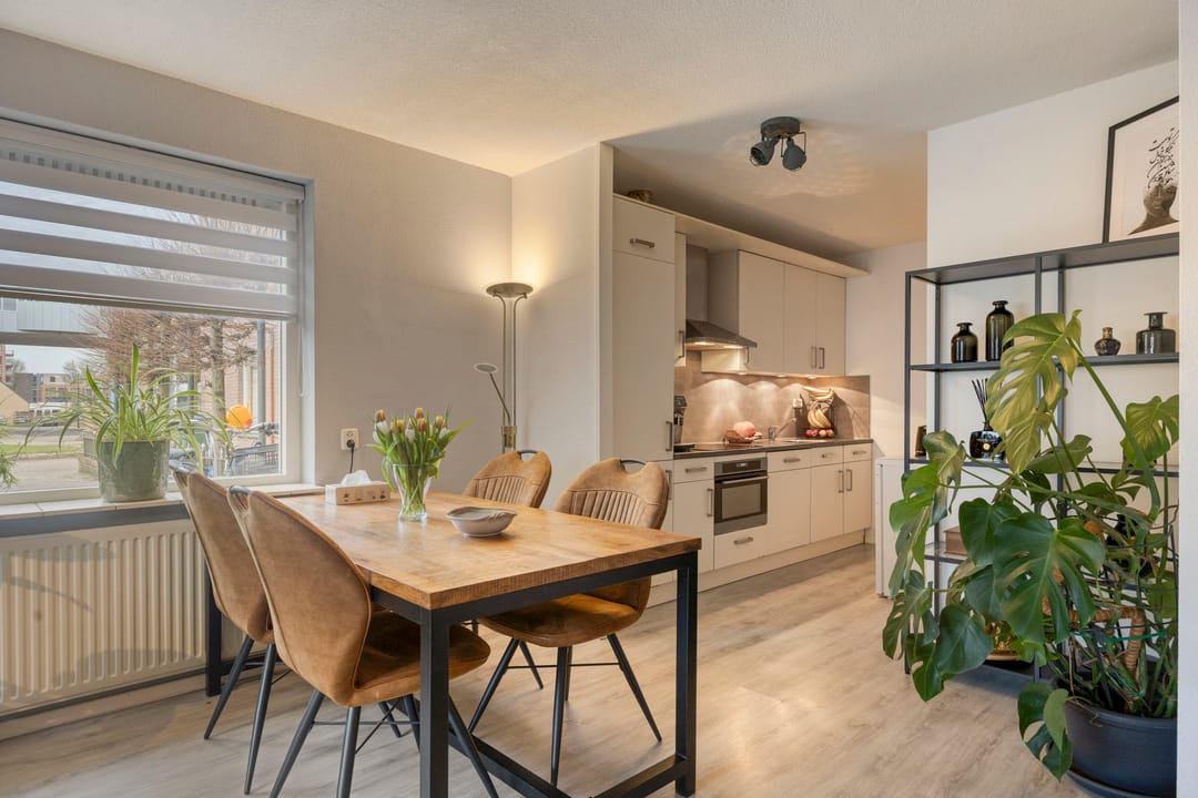 Foto 13 van Hollandia 12