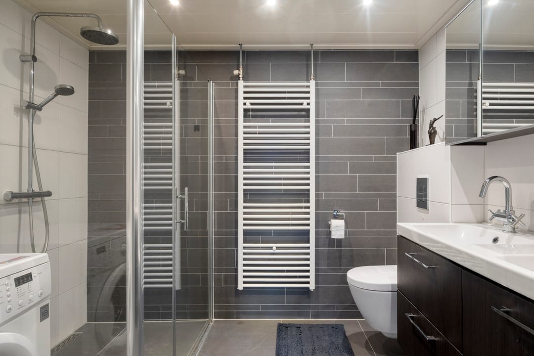 Foto 22 van Hollandia 12