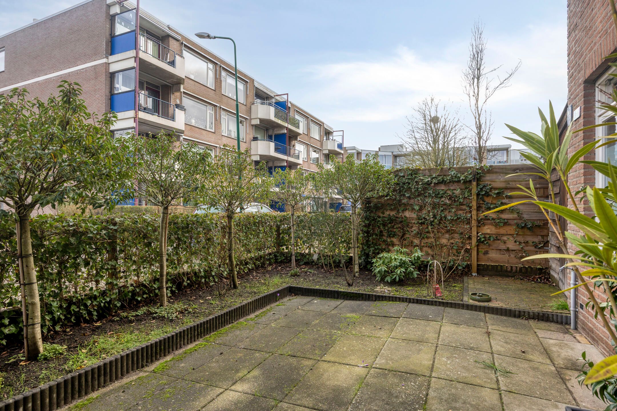 Foto 24 van Hollandia 12