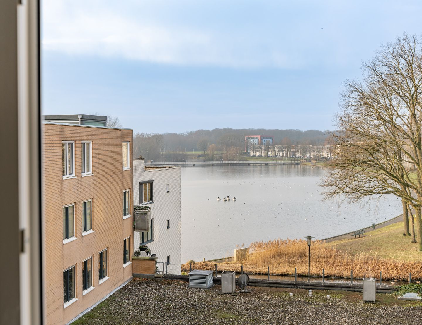 Foto 25 van Emiclaerhof 180