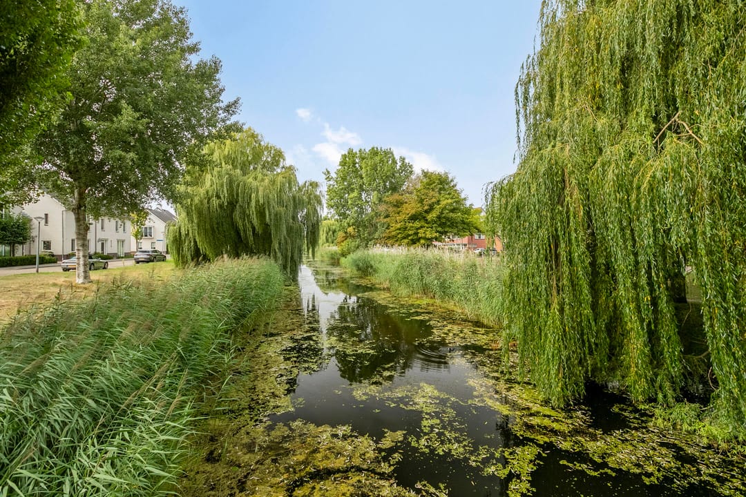 Photo 37 of Vasalisstraat 34