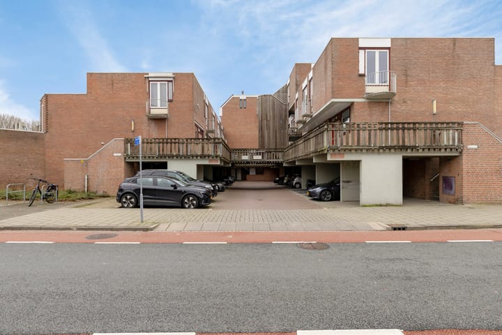 Scheldedal 9 main image