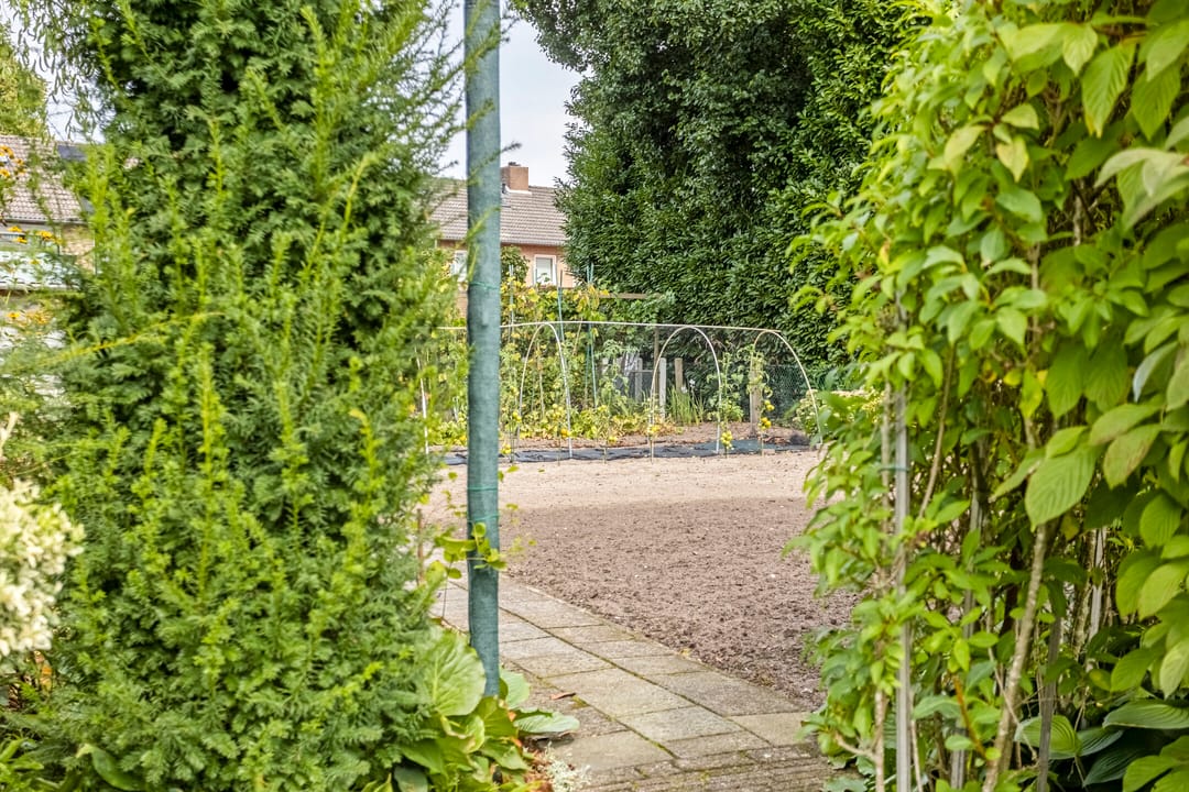 Foto 61 van Molenweg 65