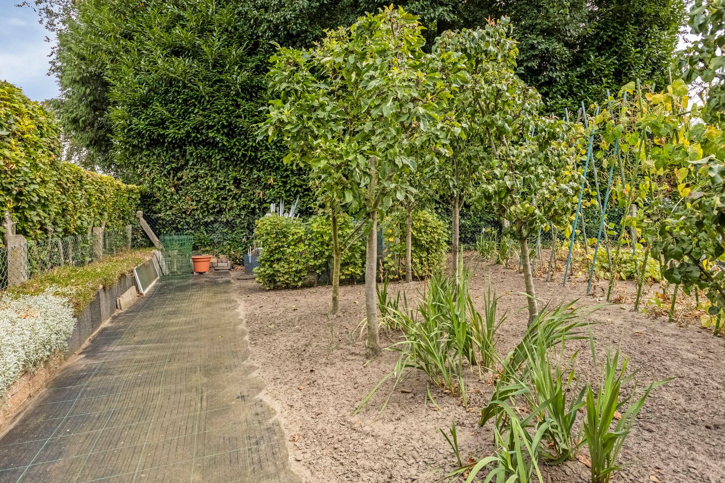 Foto 64 van Molenweg 65