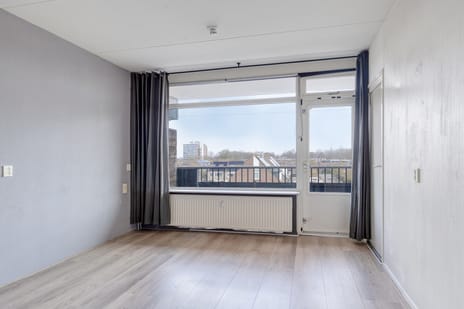 Penningkruid 16 tertiary image