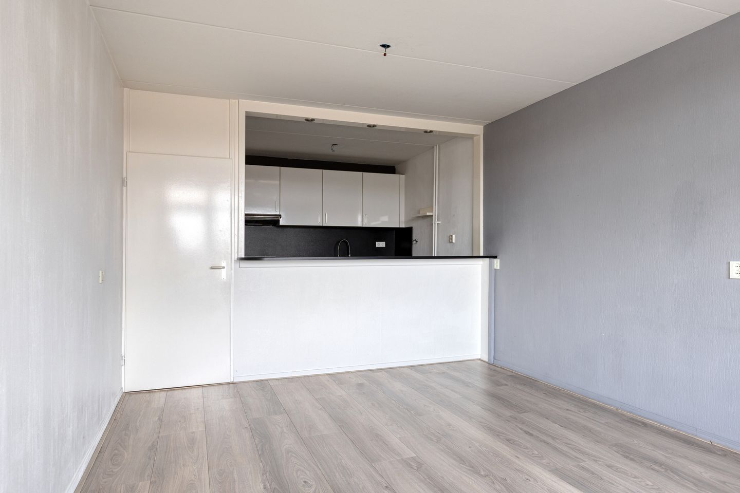 Photo 4 of Penningkruid 16