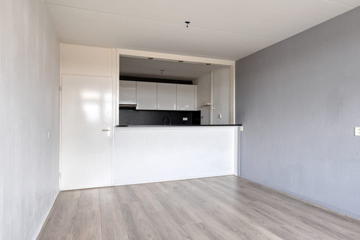 Photo 4 of Penningkruid 16