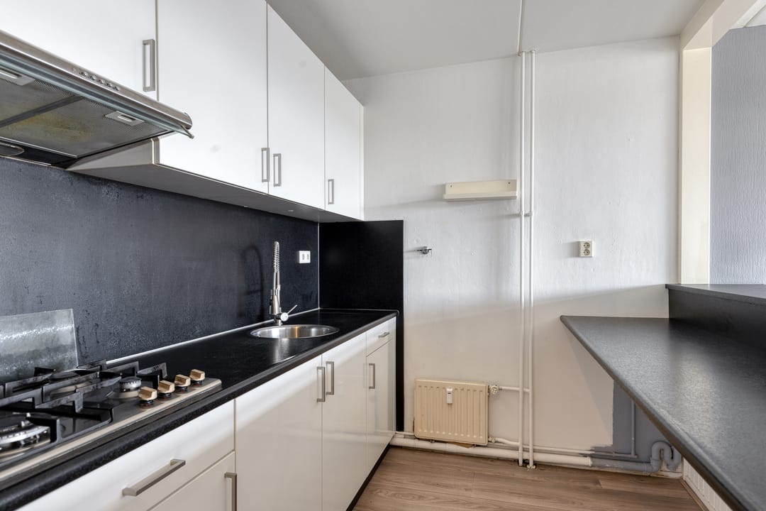 Photo 11 of Penningkruid 16