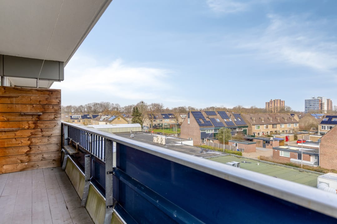 Photo 13 of Penningkruid 16