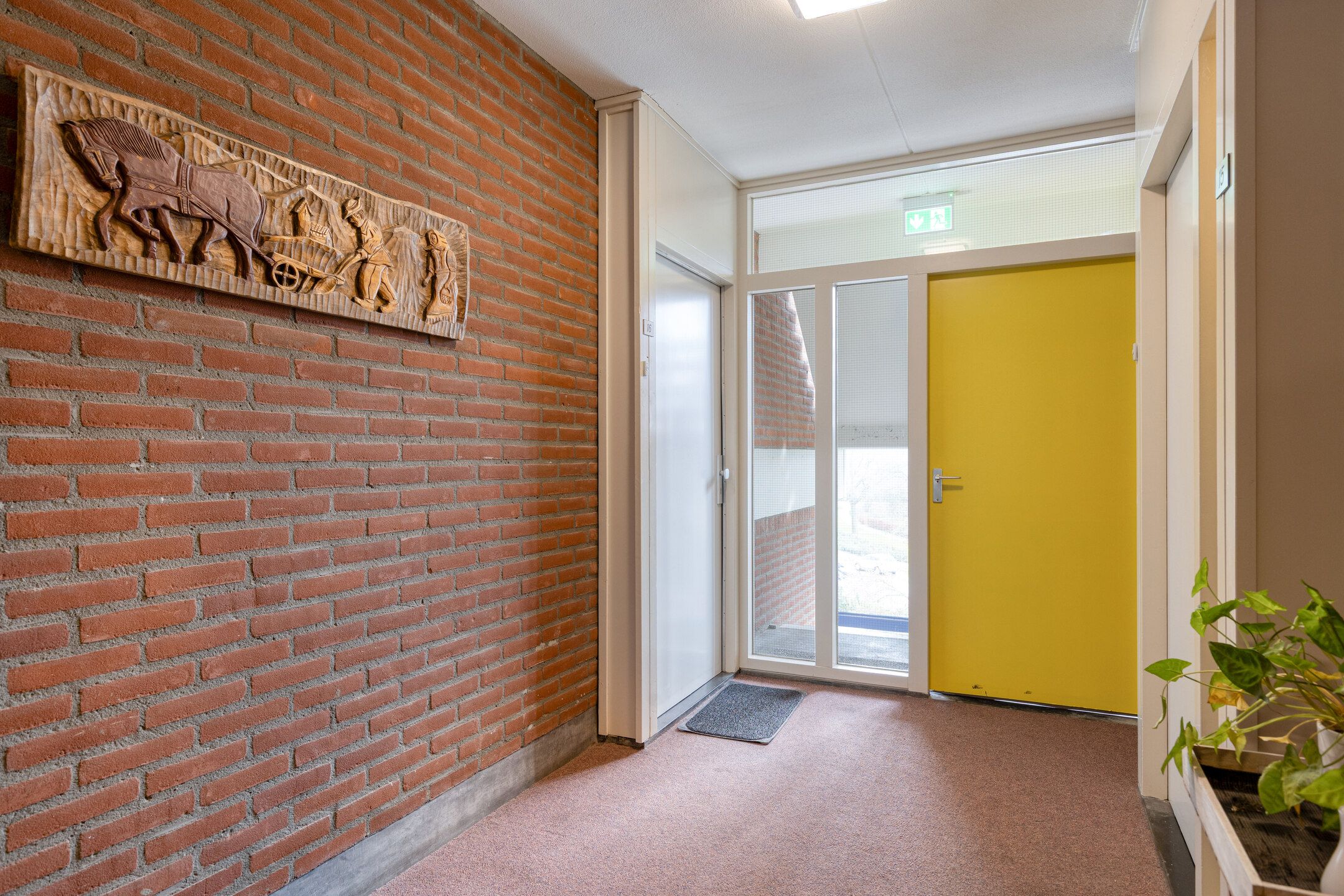 Photo 15 of Penningkruid 16