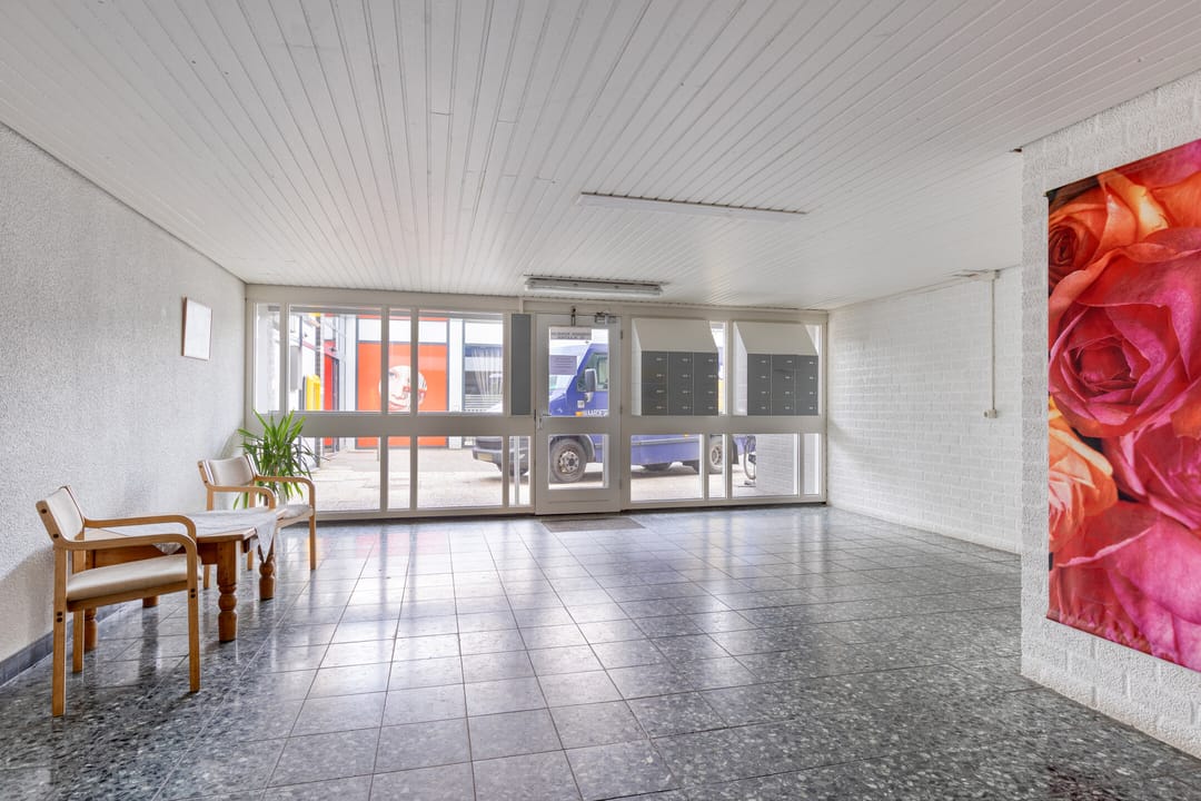 Photo 17 of Penningkruid 16