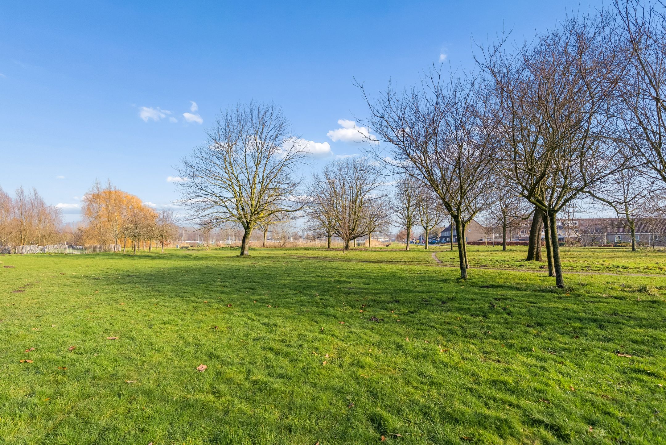 Foto 33 van Borstelgrasstraat 37