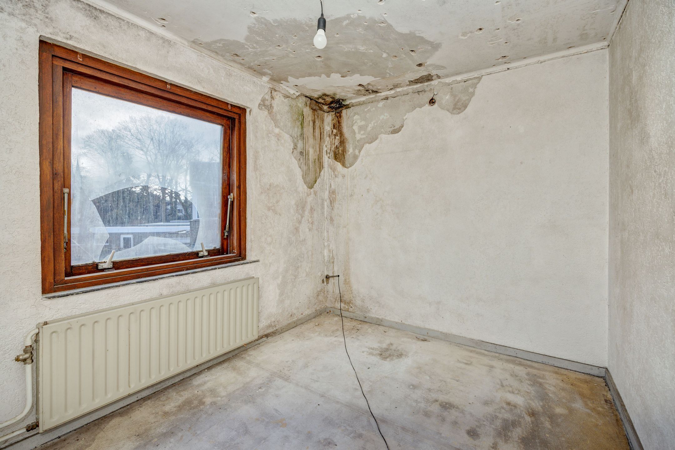 Foto 18 van Pastoor van Doornstraat 44