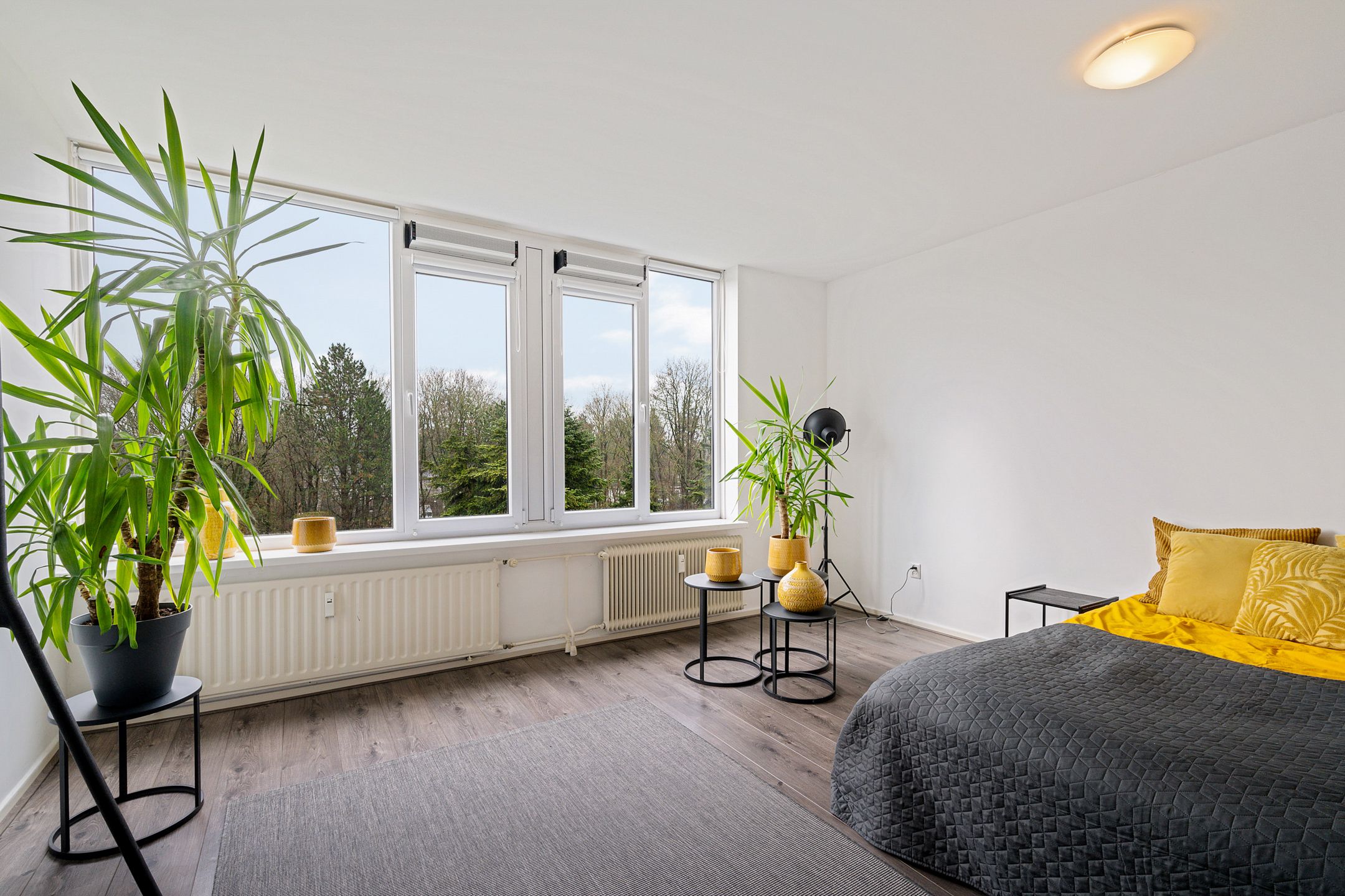 Foto 3 van Wilgenstraat 53