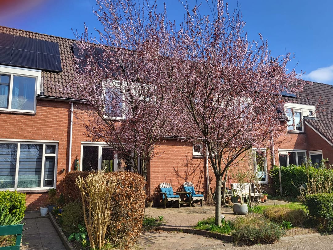 Foto 1 van Sibrandaheerd 56