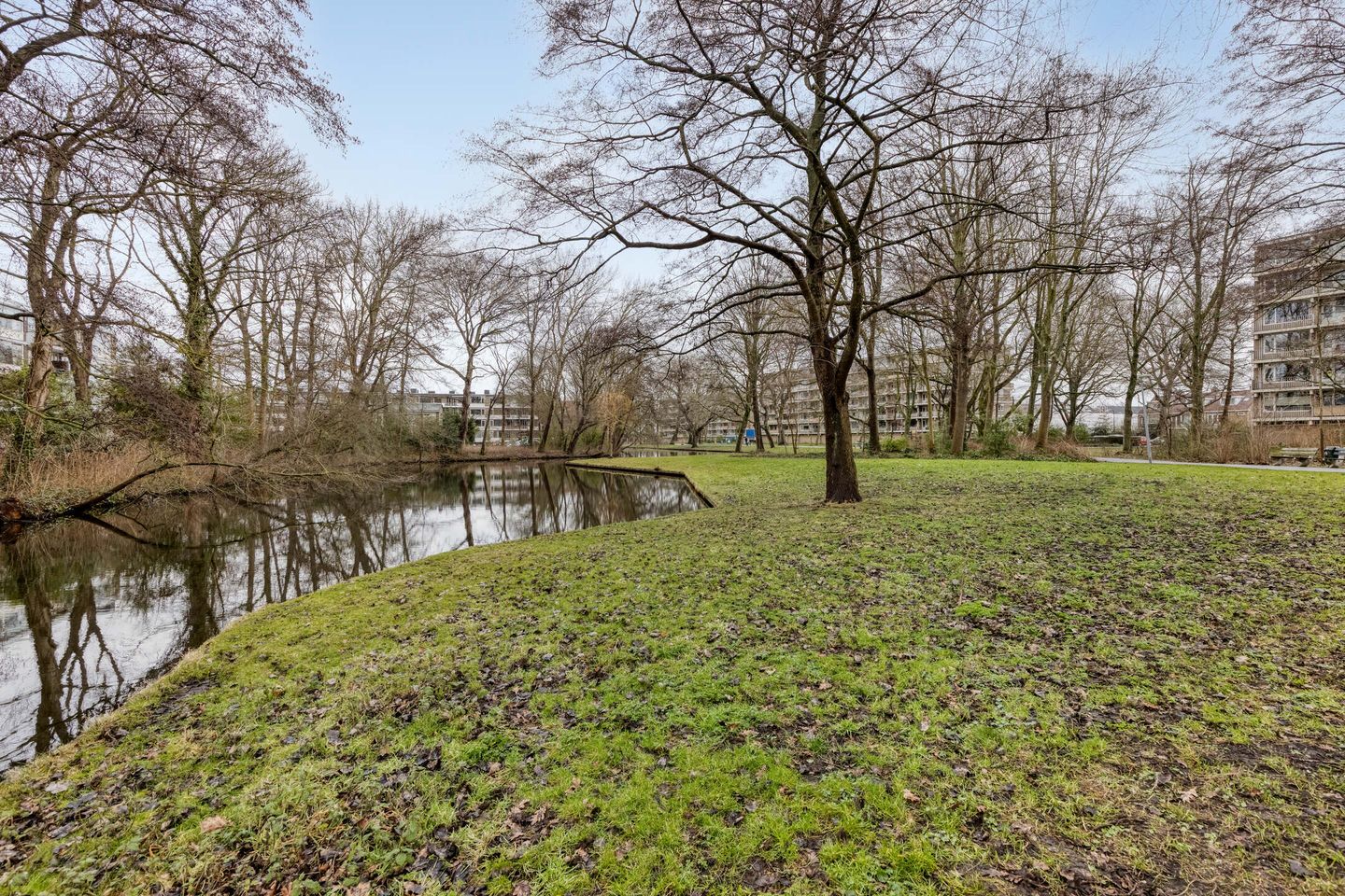 Foto 25 van Lelielaan 1