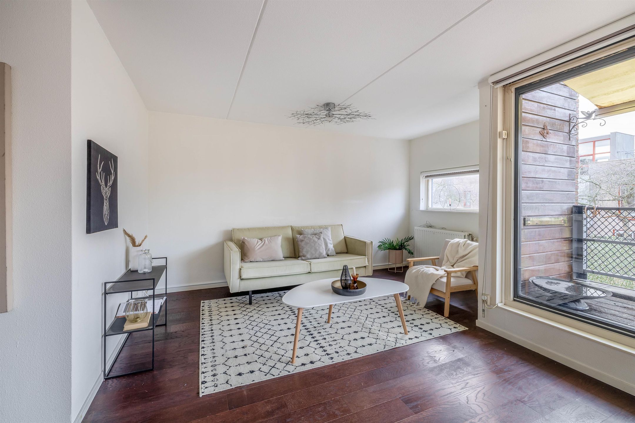 Photo 21 of Eli Heimanshof 81