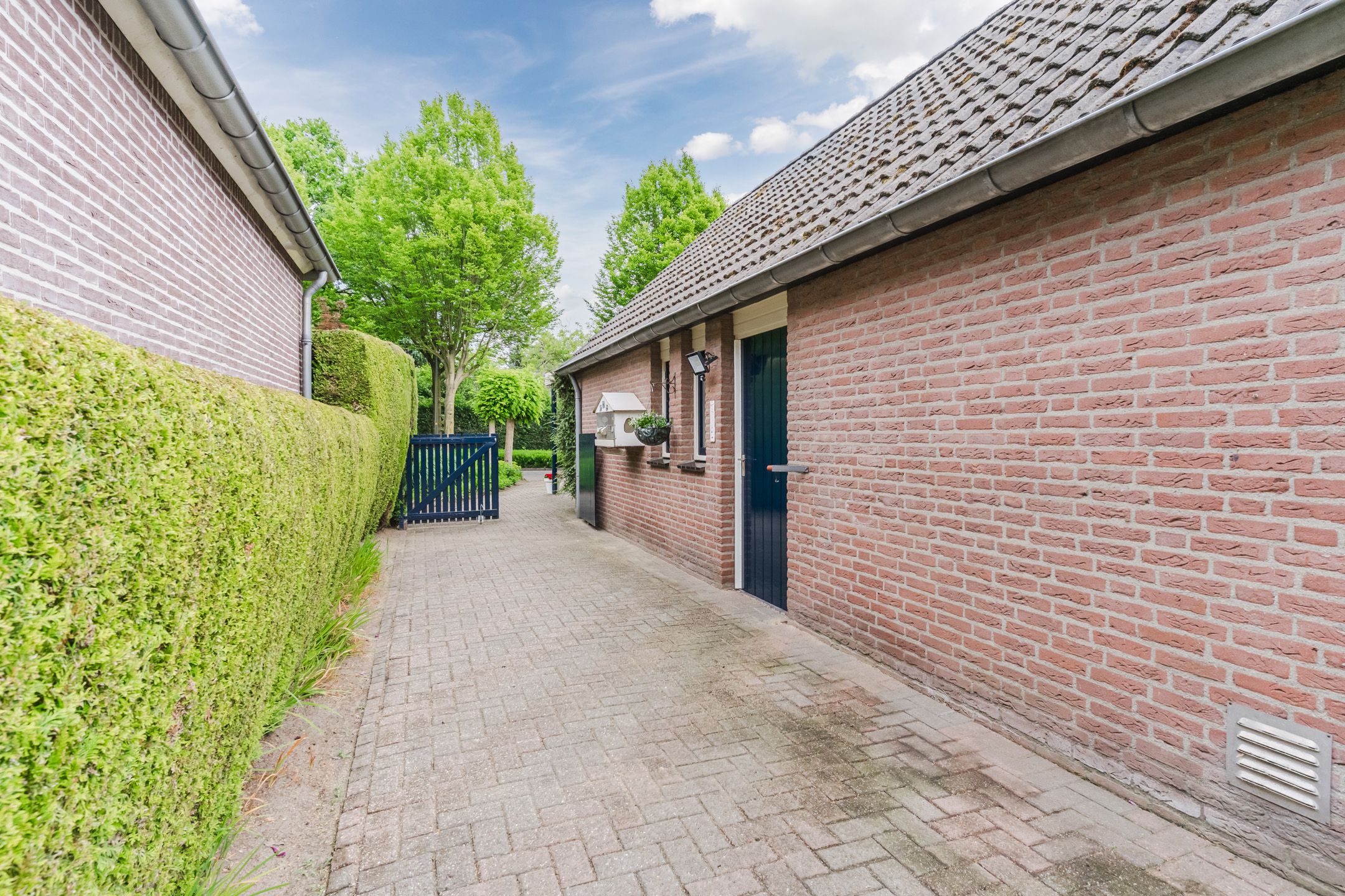 Photo 51 of De Hoeven 2