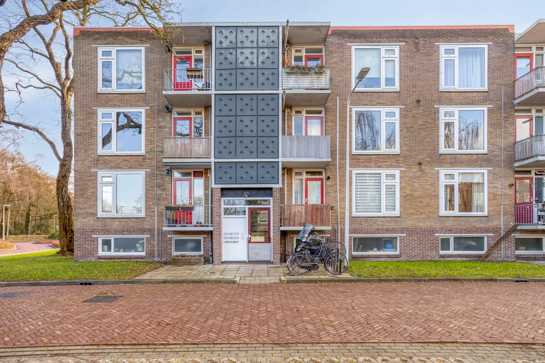 Foto 16 van Gerard Doustraat 101