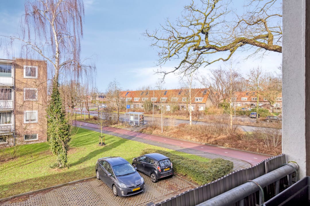 Foto 32 van Gerard Doustraat 101